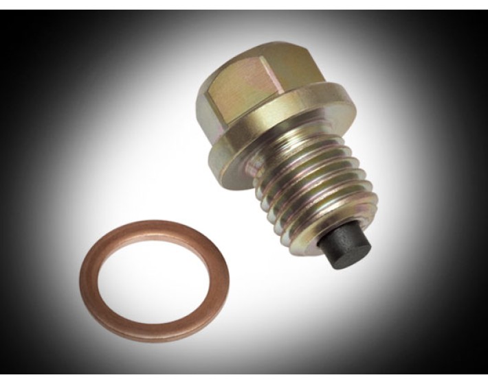 Magnetic Oil Drain Plug for Goldwing